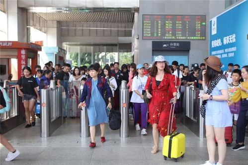 海口五個臨時旅游服務臺高效運作，累計服務近7萬人次彰顯旅游服務新高度